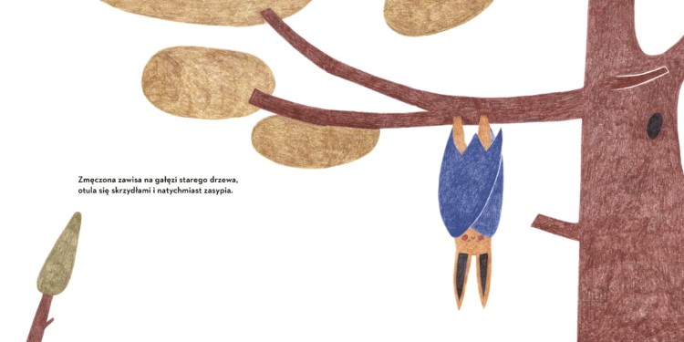 Elizka nie jest straszydłem. Ilustrowana książka dla dzieci o akceptacji i inności, z garścią informacji o nietoperzach autorstwa Simony Smatany. Idealna dla przedszkolaków. Książka z autografem autorki.