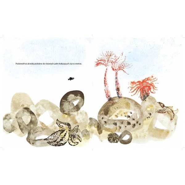 7ce336f54faa5688633c0d3eb01f60bc