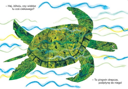 środek miś widzi.jpg