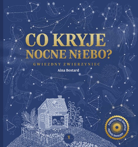 co-kryje-nocne-niebo_okładka.jpg