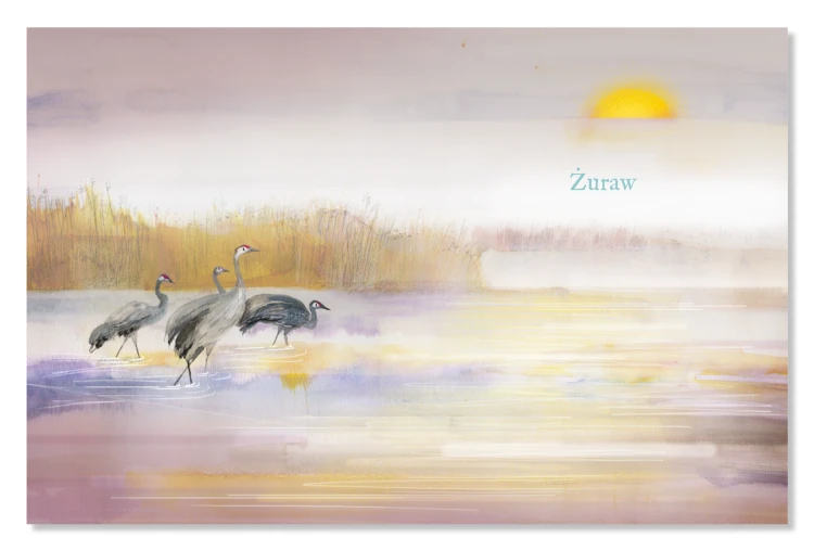 w-co-sie-bawia-dziki2 srodek png.png