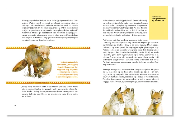 w-co-sie-bawia-dziki5 liski.png