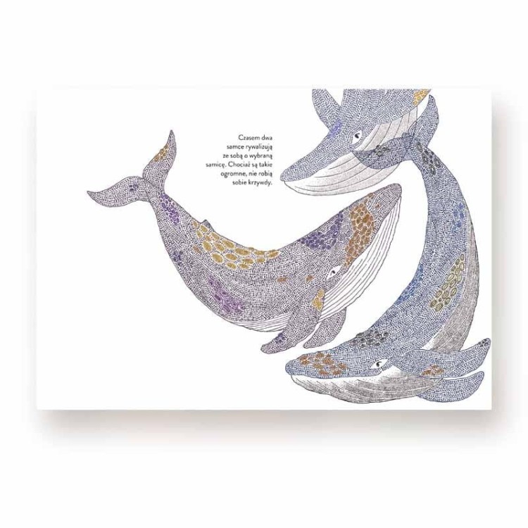 851d902ccbf729375c3c20b8799f9b29