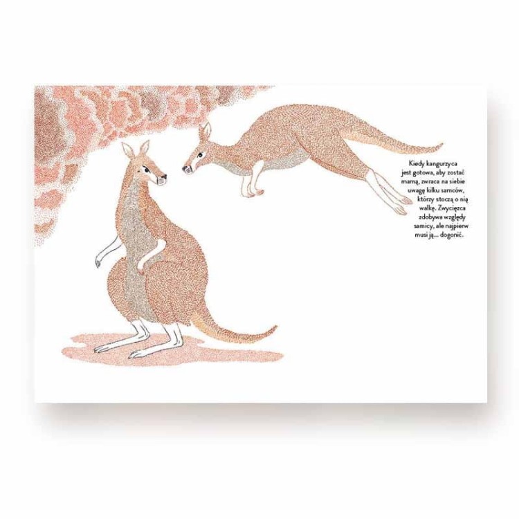 6bc3b77b4ebf4a7e1165a274f9a6a236