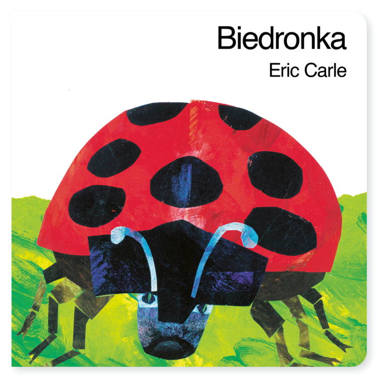 biedronka-okladka (1) dobra.png