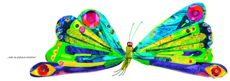 motyl.jpg