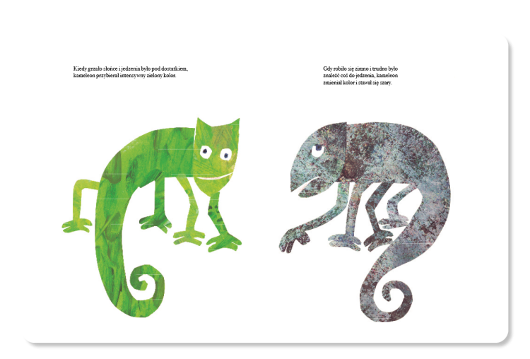 ROZKLADOWKI_sklep_kameleon.png