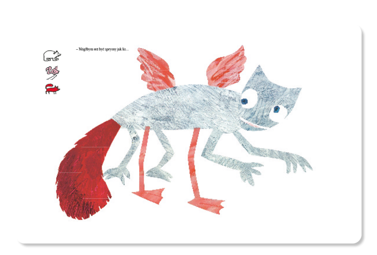 ROZKLADOWKI_sklep_kameleon3.png