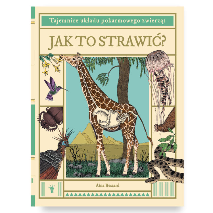 Okładka książki pt. Jak to strawić? Tajemnice układu pokarmowego. Na okładce na pierwszym planie żyrafa i jej układ pokarmowy.