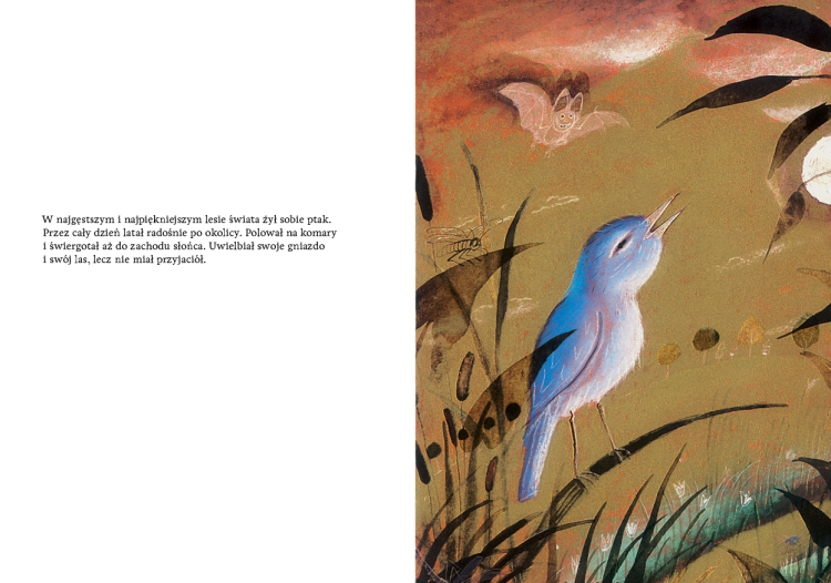 Książka pt. "Dwoje przyjaciół", autorstwa Paz Rodero z ilustracjami mistrza Józefa Wilkonia.